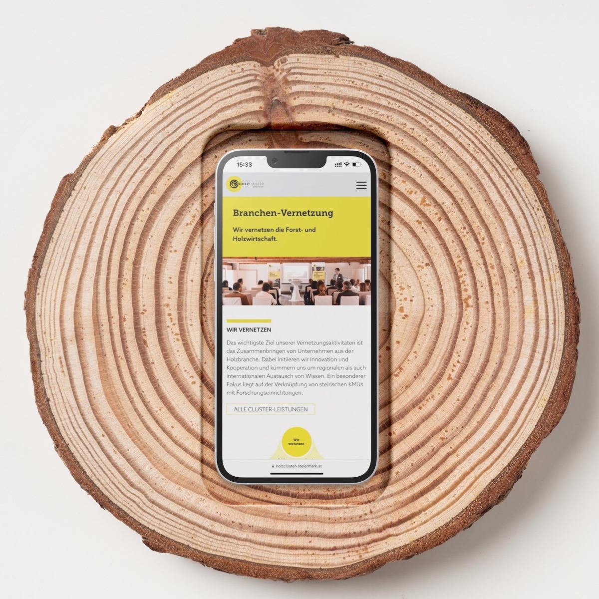 Holzcluster Smartphone Screen Design